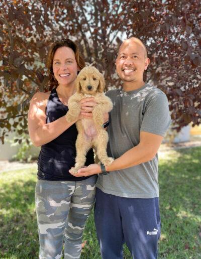 Goldendoodle Puppy Pickup Day Sept 2022
